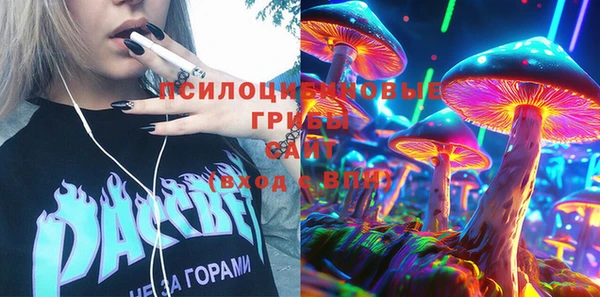 шишки Белокуриха