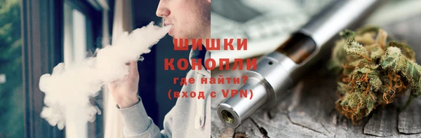 шишки Белокуриха