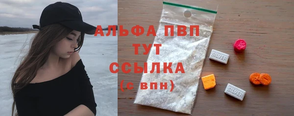 шишки Белокуриха