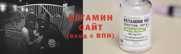 шишки Белокуриха
