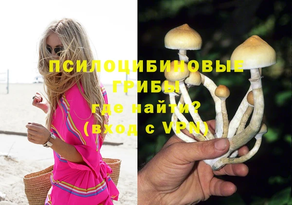 каннабис Богородицк