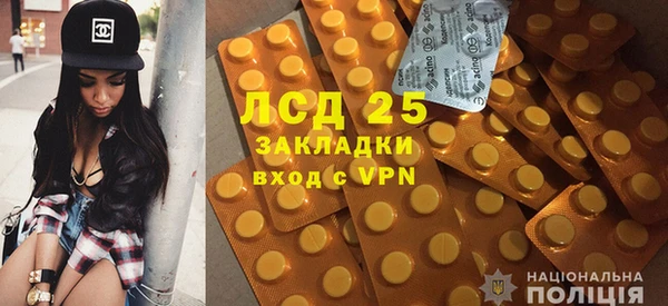 шишки Белокуриха