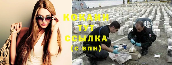 шишки Белокуриха