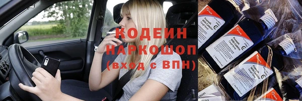 шишки Белокуриха