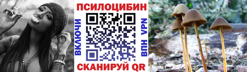 Галлюциногенные грибы Magic Shrooms  где найти   Буй 